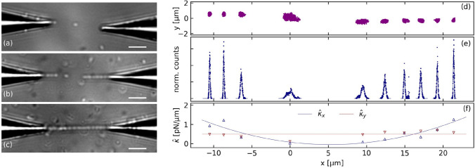 Optical trapping with nanostructured optical fibers and motility analysis of Pseudomonas aeruginosa