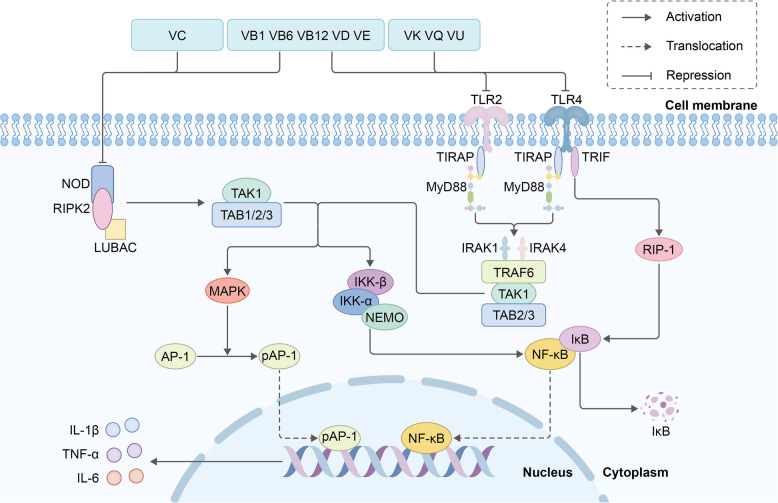 From the different pathogenesis of epileptogenesis: vitamins as an adjunctive treatment for epilepsy.