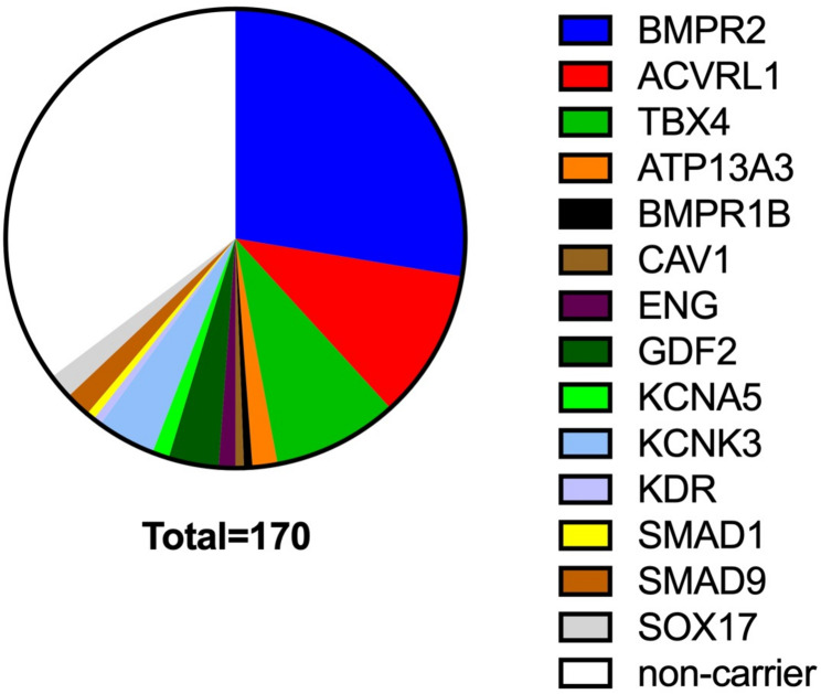The genetic epidemiology and genotype-phenotype correlations among Chinese children with idiopathic and heritable pulmonary arterial hypertension.