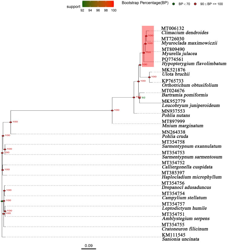 Complete chloroplast genome analysis of <i>Hypopterygium flavolimbatum</i> Müll. Hal. (Hypopterygiaceae, Bryophyta).