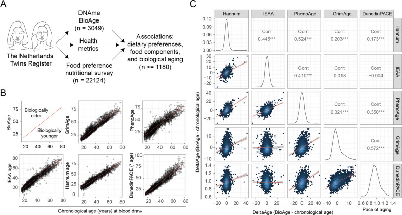 Nutritional associations with decelerated epigenetic aging: vegan diet in a Dutch population.