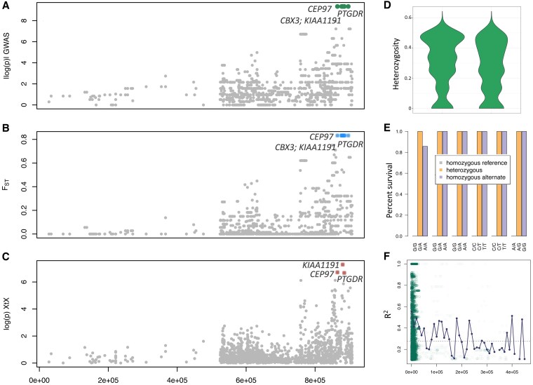 Rapid adaptation to a globally introduced virulent pathogen in a keystone species.