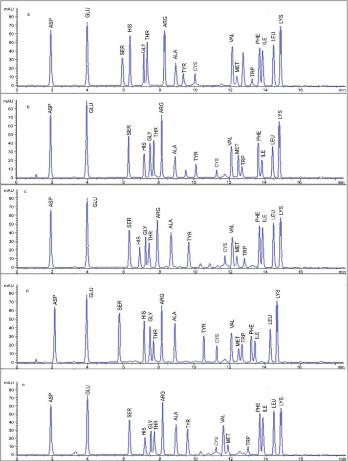 Novel potential of low calorie plant burger: Functional turkey meat formulation optimized by replacing quinoa, chia, soy, amaranth and peas as vegetable protein and their influence on texture and sensory traits.