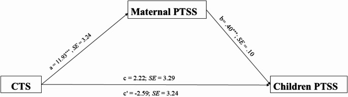 "Children of War": Examining the Associations between War Exposure, Maternal PTSD, and Continuous Traumatic Stress on Israeli Children's PTSD.