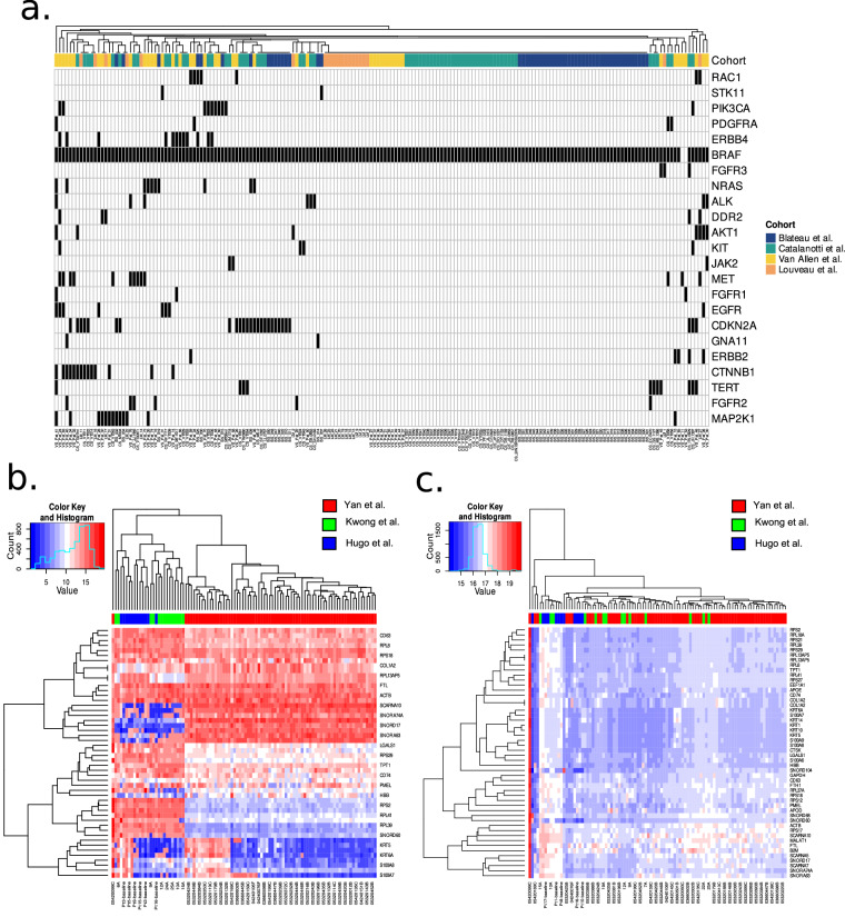 MelanoDB: A dataset of clinical and molecular features of patients with advanced melanoma treated with MAPK inhibitors.
