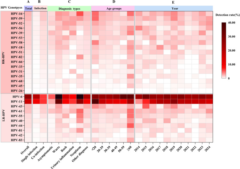Trends in the molecular epidemiology of human papillomavirus in males from the plateau region of Southwest China: an 11-year retrospective analysis (2014-2024).