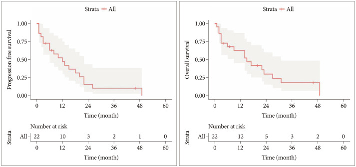 Outcomes From a Contemporary Mono-Institutional Cohort of Histone-Mutant Diffuse Hemispheric Glioma: A Rare and Aggressive Pediatric-Type High-Grade Primary Brain Tumor.