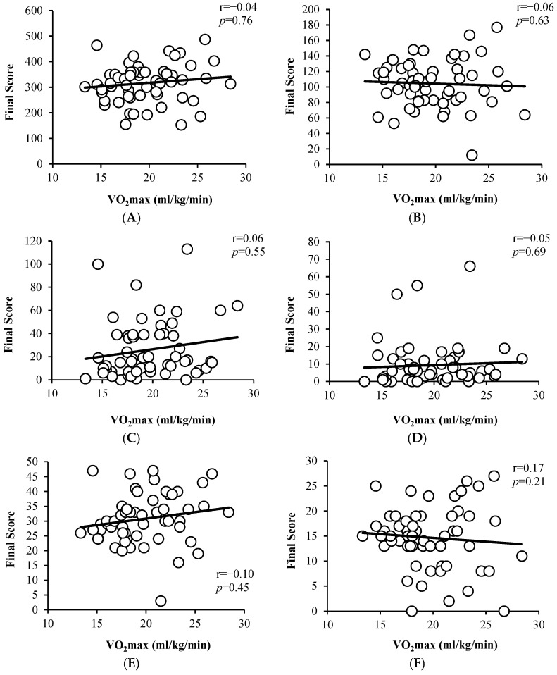 Is Cardiopulmonary Fitness Related to Attention, Concentration, and Academic Performance in Different Subjects in Schoolchildren?