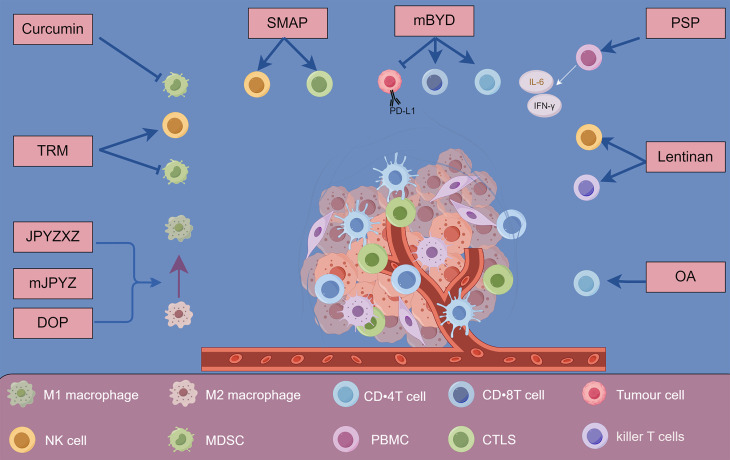 Harnessing Natural Products to Surmount Drug Resistance in Gastric Cancer: Mechanisms and Therapeutic Perspectives.