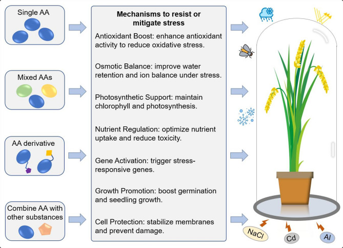 Amino Acid Regulation in Rice: Integrated Mechanisms and Agricultural Applications.