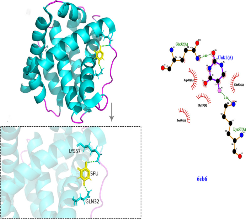 Synthesis of 5-Fluorouracil (5-FU) coated platinum nanoparticles and apoptotic effects on U87 human glioblastoma cells.