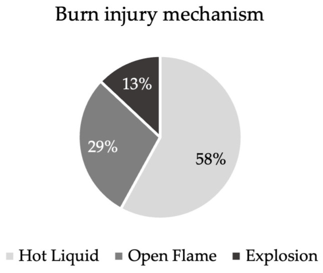 Can Pure Silk Compete with the Established Mepilex Ag<sup>®</sup> in the Treatment of Superficial Partial Thickness Burn Wounds? A Prospective Intraindividual Study.