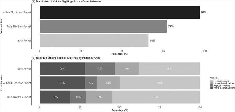 Cultural significance and conservation challenges of the hooded vulture (Necrosyrtes monachus) and other vulture species in northeastern Benin.