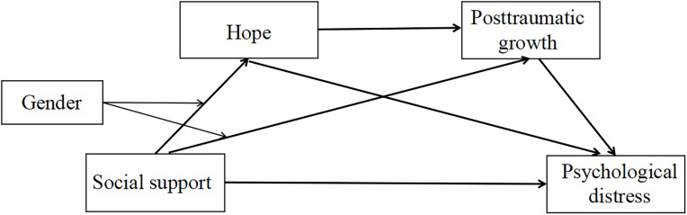 The Chain Mediating Role of Hope and Posttraumatic Growth Between Social Support and Psychological Distress Among Lung Cancer Patients.