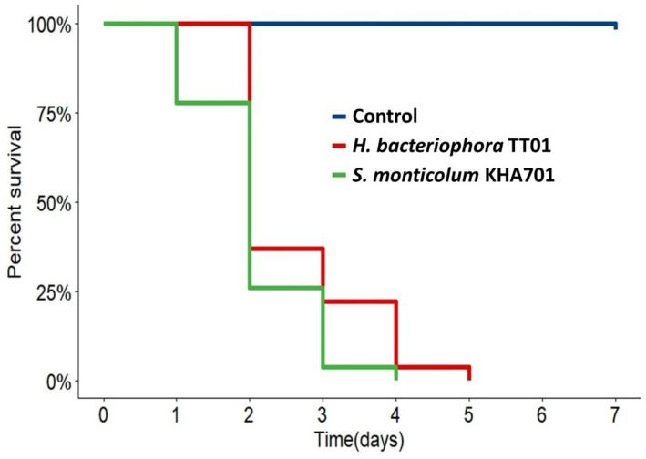Synergistic actions of symbiotic bacteria modulate the insecticidal potency of entomopathogenic nematode Steinernema monticolum KHA701.