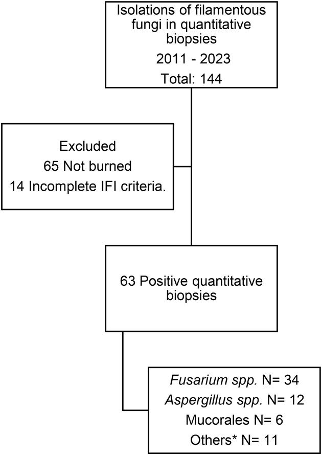 Fungal infections in burn patients: The rise of Fusarium as the most prevalent in a burn center in Mexico City.