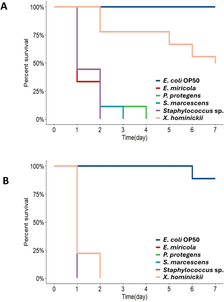 Synergistic actions of symbiotic bacteria modulate the insecticidal potency of entomopathogenic nematode Steinernema monticolum KHA701.