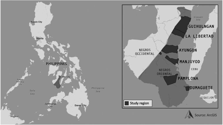 Exploring the Use of Multiple Participatory Tools to Engage Community Health Workers in Program Evaluation and Implementation: A Case Study From the Philippines.