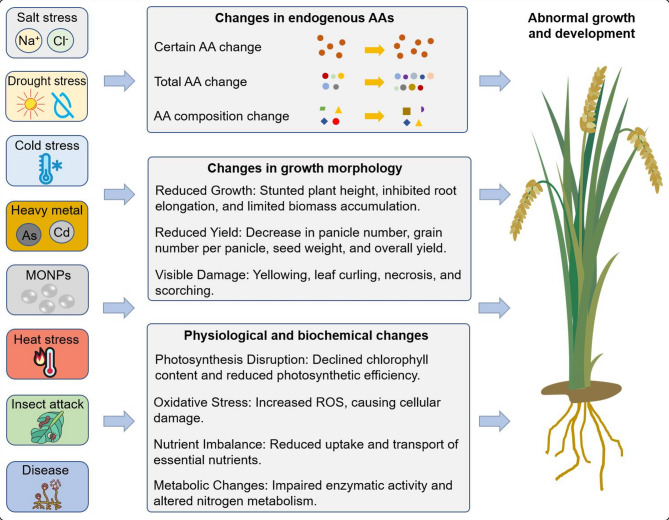 Amino Acid Regulation in Rice: Integrated Mechanisms and Agricultural Applications.