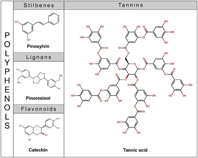 Harnessing polyphenols from pulp industry residues of juvenile eucalyptus wood: potential for adhesive applications.