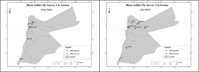 Complete mitochondrial genome of a novel black soldier fly isolate from Jordans.