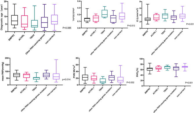 The genetic epidemiology and genotype-phenotype correlations among Chinese children with idiopathic and heritable pulmonary arterial hypertension.