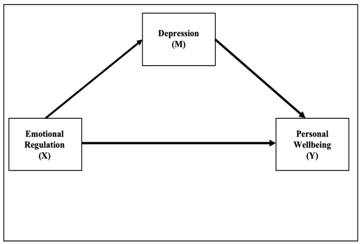 Clarity and Emotional Regulation as Protective Factors for Adolescent Well-Being: A Moderated Mediation Model Involving Depression.