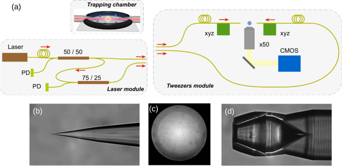 Optical trapping with nanostructured optical fibers and motility analysis of Pseudomonas aeruginosa