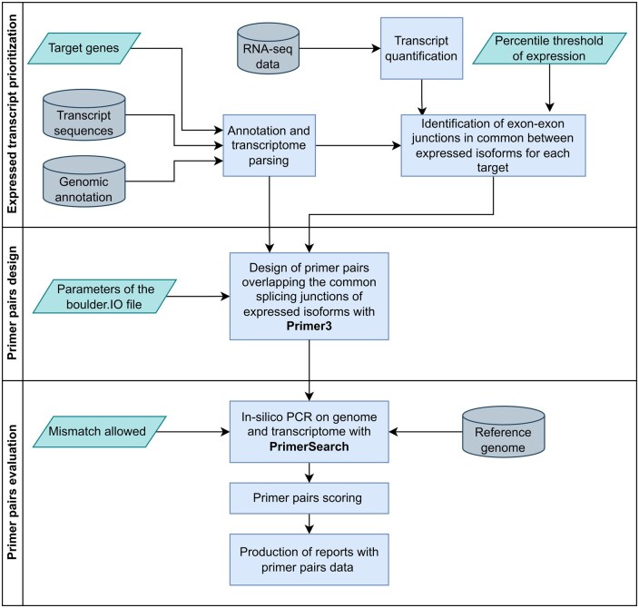 IsoPrimer: a pipeline for designing isoform-aware primer pairs for comprehensive gene expression quantification.