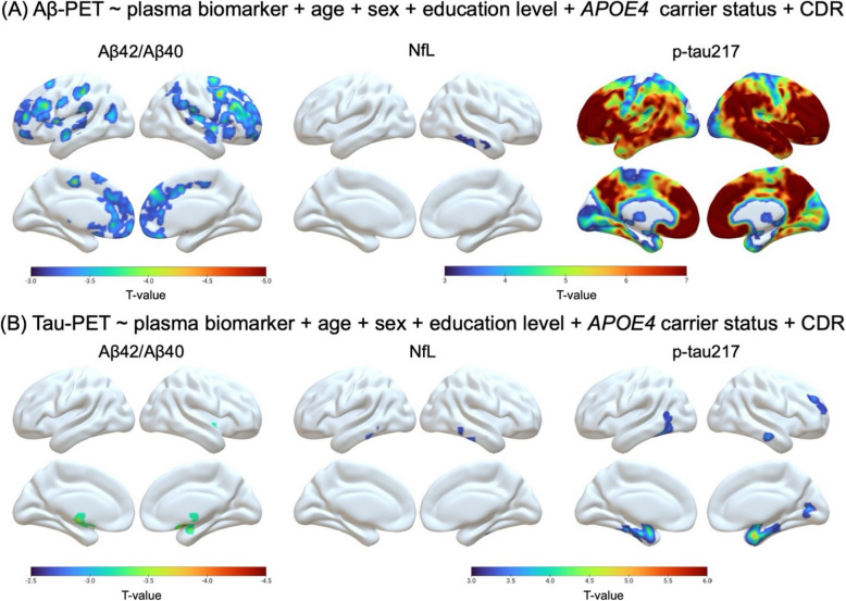 Plasma biomarkers identify brain ATN abnormalities in a dementia-free population-based cohort.
