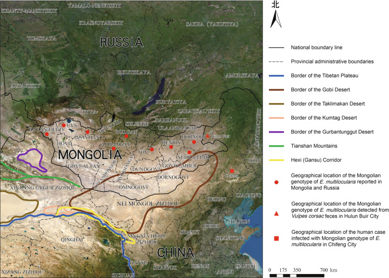 Clinical confirmation of an infection with Echinococcus multilocularis (Mongolian genotype): first case report of human alveolar echinococcosis in Inner Mongolia, China.
