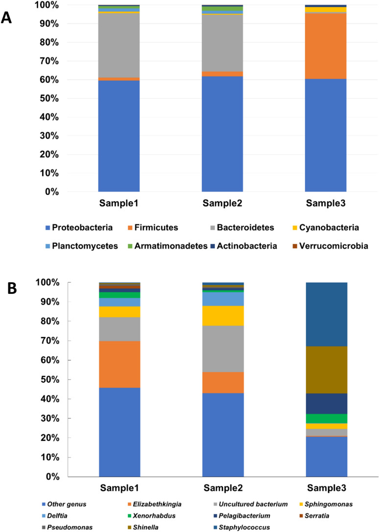 Synergistic actions of symbiotic bacteria modulate the insecticidal potency of entomopathogenic nematode Steinernema monticolum KHA701.
