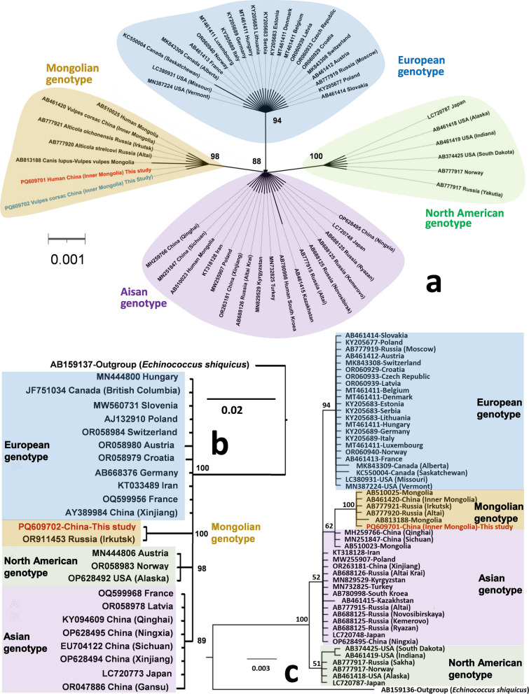 Clinical confirmation of an infection with Echinococcus multilocularis (Mongolian genotype): first case report of human alveolar echinococcosis in Inner Mongolia, China.