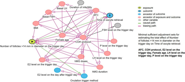 A valuable predictive model for optimizing the timing of oocyte retrieval: a retrospective analysis of oocyte retrieval time in 49,961 oocyte pickup (OPU) cycles.