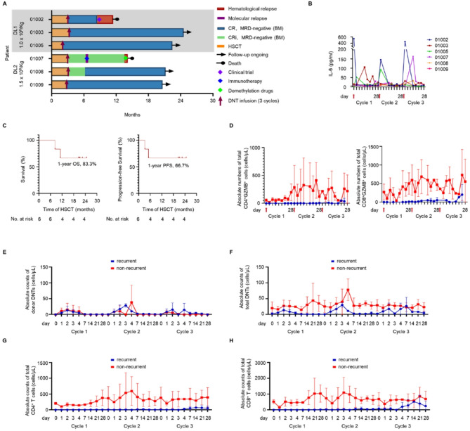 Prophylactic infusion of allogeneic double-negative T cells as immune modulators to prevent relapse in high-risk AML patients post-Allo-HSCT: a phase I trial.
