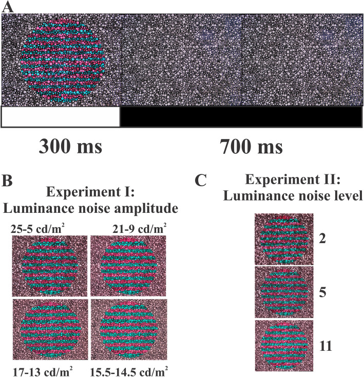 Luminance noise impacts putative luminance components of visual evoked potentials but not chromatic components.