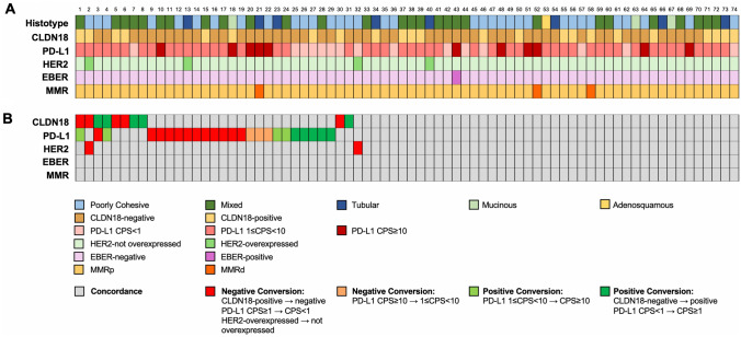 Heterogeneity of predictive biomarker expression in gastric and esophago-gastric junction carcinoma with peritoneal dissemination.