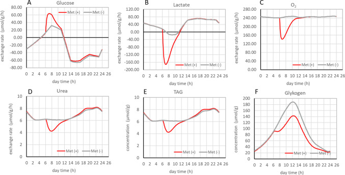 Patient-specific effects of metformin on the hepatic metabolism in adolescents with metabolic dysfunction-associated steatotic liver disease (MASLD).