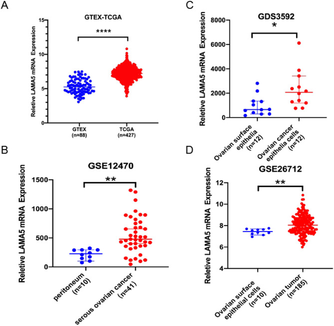 Functional study of laminin subunit α5 in high-grade serous ovarian cancer.