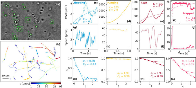 Optical trapping with nanostructured optical fibers and motility analysis of Pseudomonas aeruginosa