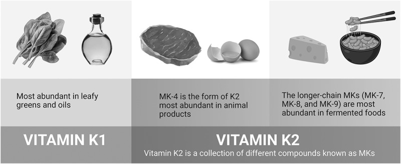 The epigenetic potential of vitamin K2 in brain health.