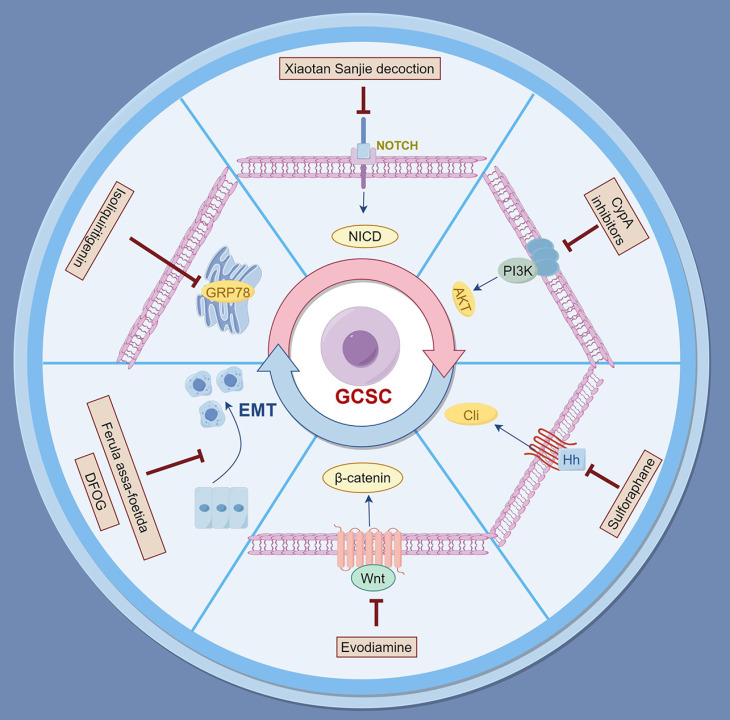 Harnessing Natural Products to Surmount Drug Resistance in Gastric Cancer: Mechanisms and Therapeutic Perspectives.