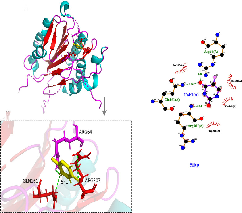 Synthesis of 5-Fluorouracil (5-FU) coated platinum nanoparticles and apoptotic effects on U87 human glioblastoma cells.