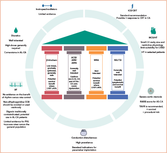 Heart Failure Management in Cardiac Amyloidosis: Towards a Paradigm Shift.