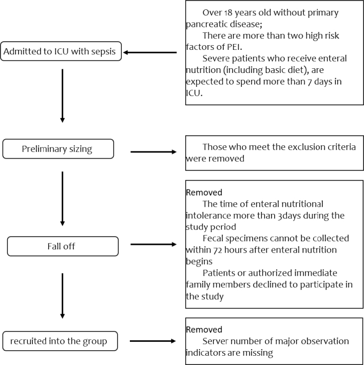 Pancreatic enzyme replacement therapy can improve infection level nutrition condition and prognosis of patients with sepsis.