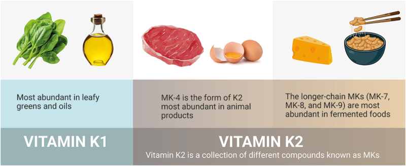 The epigenetic potential of vitamin K2 in brain health.