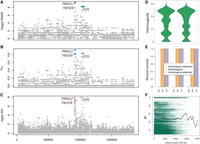 Rapid adaptation to a globally introduced virulent pathogen in a keystone species.