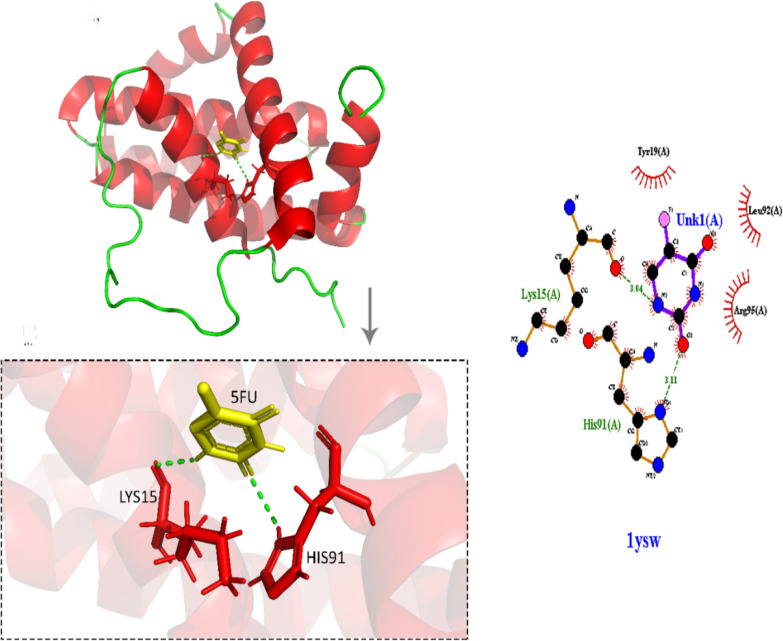 Synthesis of 5-Fluorouracil (5-FU) coated platinum nanoparticles and apoptotic effects on U87 human glioblastoma cells.