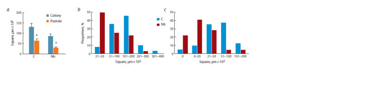 Cytophysiological manifestations of wheat's defense reactions against stem rust induced by the biofungicide Novochizol.