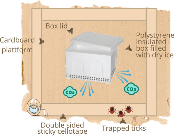 A comparison of manual and carbon dioxide trap sampling of Ornithodoros soft ticks from warthog resting sites in South Africa.